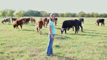 steers-on-new-grass-copy.jpg